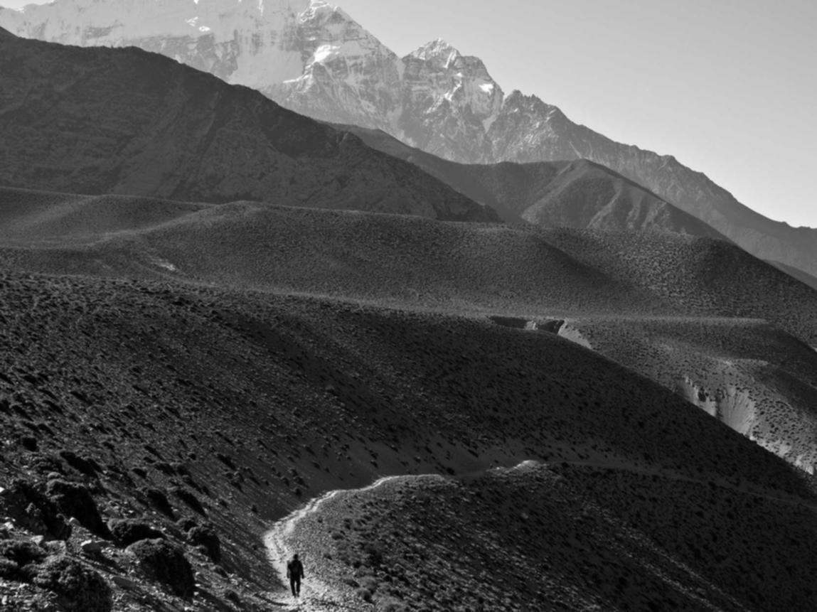 技术支持破坏游戏秩序，法律怎么保障我们？