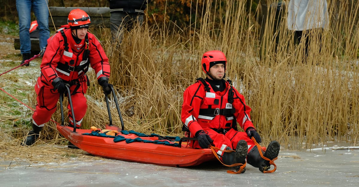 DDOS平台|账号注册学信网