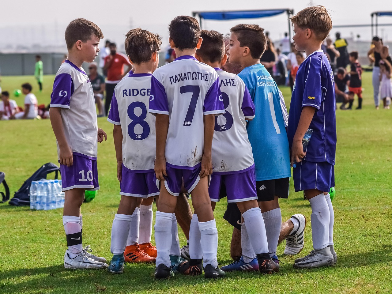 木盒红沉香(粗):山东电厂注册资质代理企业