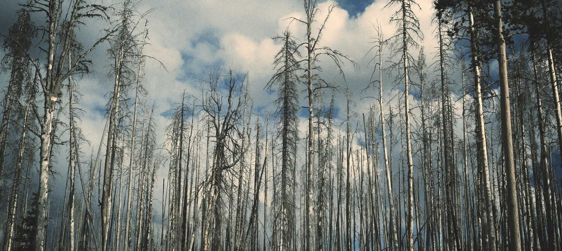 租微信号:上海股份制注册公司代理费