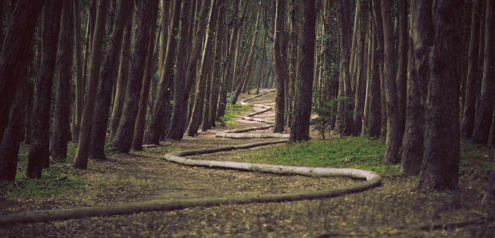 横扫千军:uc动漫app详情下载教程