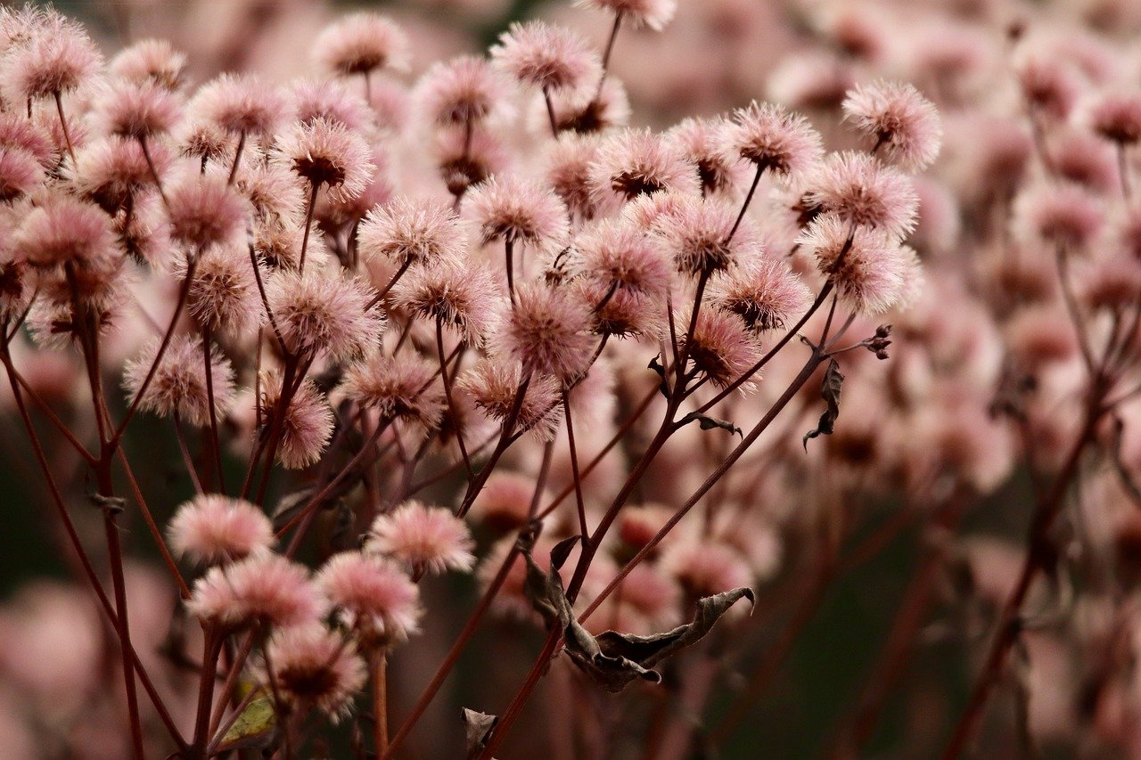 香烟和政治的影响关系