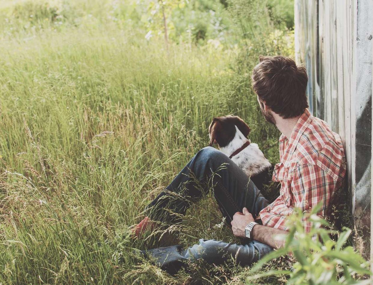 实名物联卡：含羞草APP详情下载教程文档