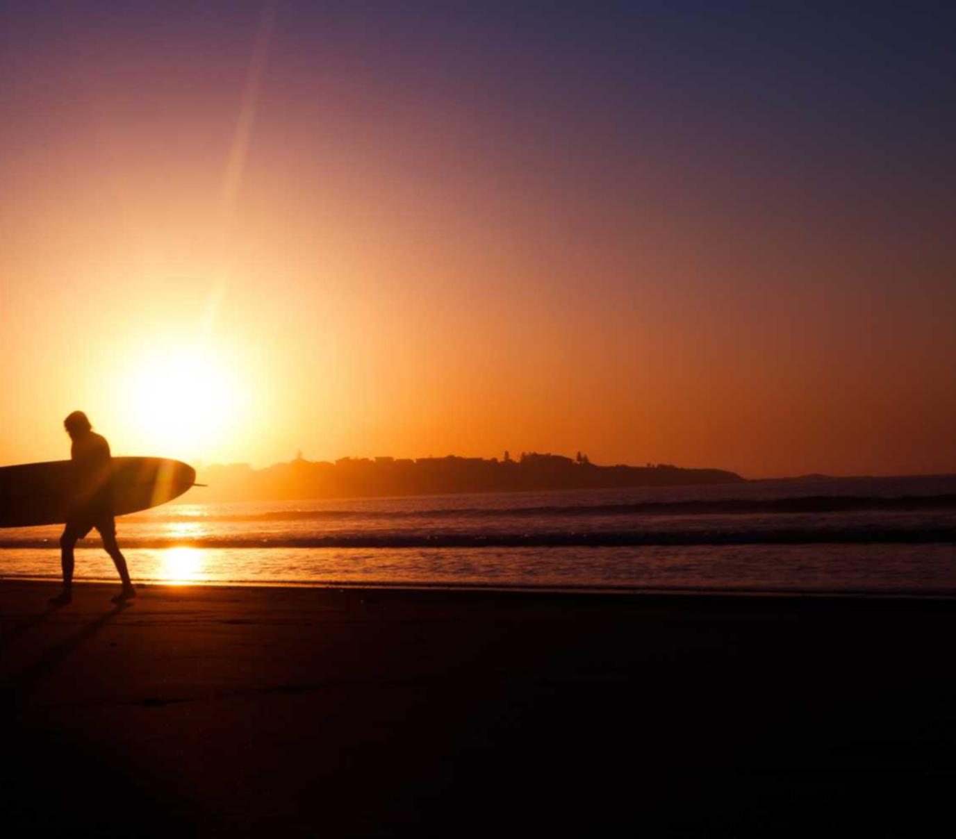华宇惠阳宠物购买平台
