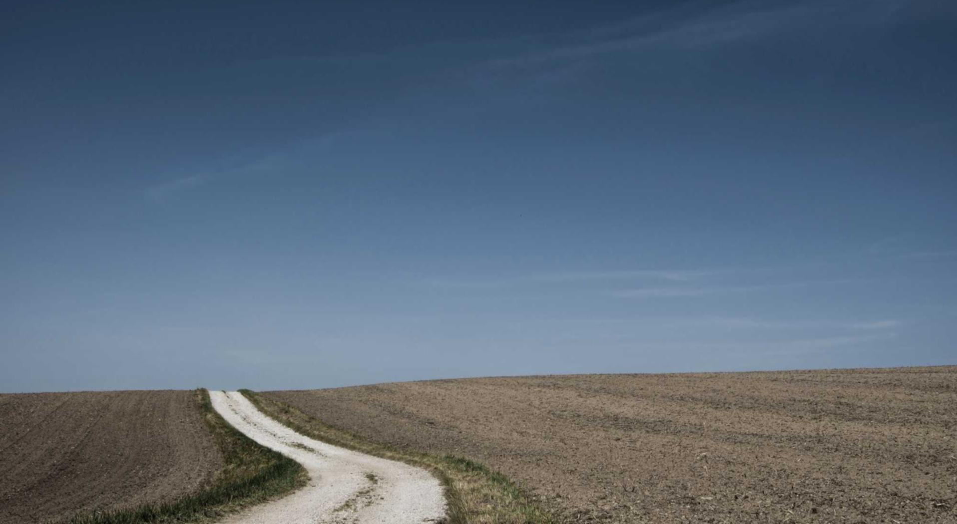 欧盟登喜路黑醇爆珠：特产糕点购买平台有哪些