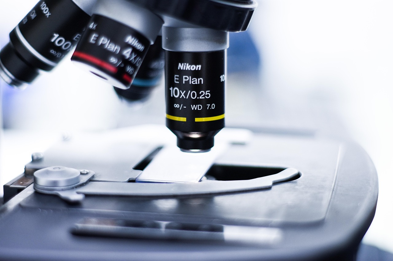 熊猫ip实名账号：东川专业工商注册代理价格